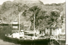 The Bertha Joyce II captained by Ray Berkshire, picking up salt fish at Lockyer's wharf. Credit: Maude Lockyer-Hollett
The Bertha Joyce II was built as the "Annetta Lovetta" at Hillview, Trinity Bay, Newfoundland by George Bennett of Port Aux Bras in 1935, 60 gross tons, official number 159657.&amp;nbsp;This vessel was purchased by Captain Ray Berkshire of Spencer's Cove in the early 60s and he changed the name to the Bertha Joyce. The Bertha Joyce was used as a freight and collector boat in Placentia Bay and continued that role when sold to Harry Wareham of St. John’s in 1972.&amp;nbsp;Later it was purchased by Tom Brewer of Southern Harbour (formerly of Davis Cove) and he changed the name to the Placentia Bay Queen and used it mostly as a tour boat.&amp;nbsp; It was scrapped at Fermeuse in the early 2000s.
&amp;nbsp;